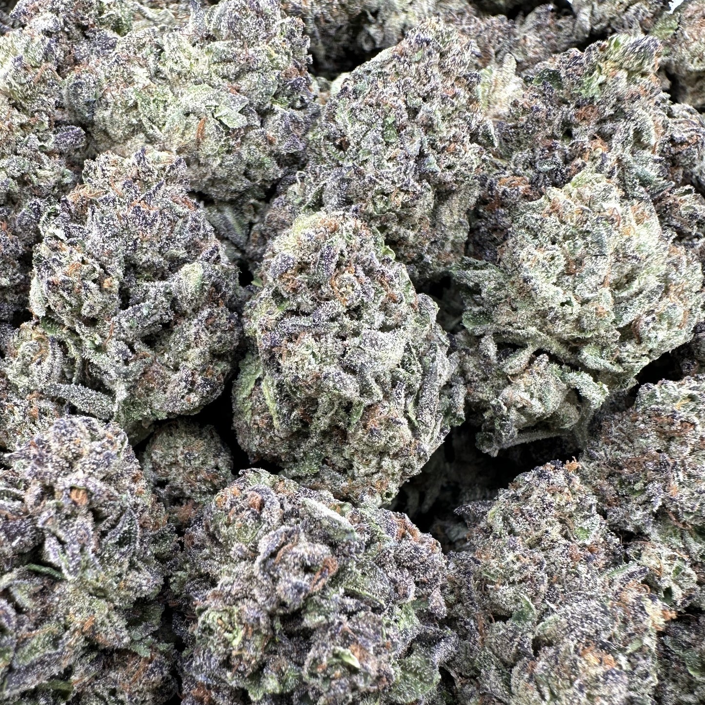 THC-A Flower Raspberry Icee Hybrid (Light Dep)