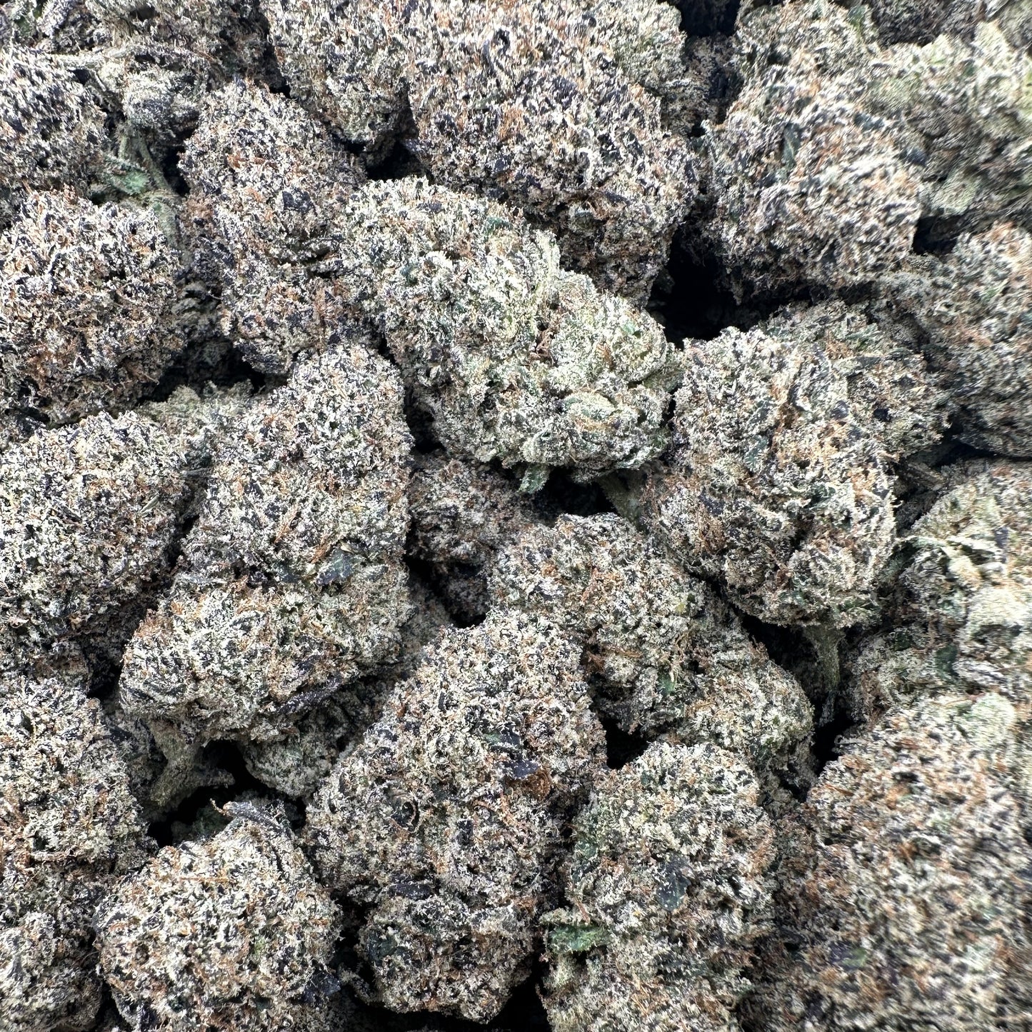 THC-A Flower Runtz Indica (Indoor)