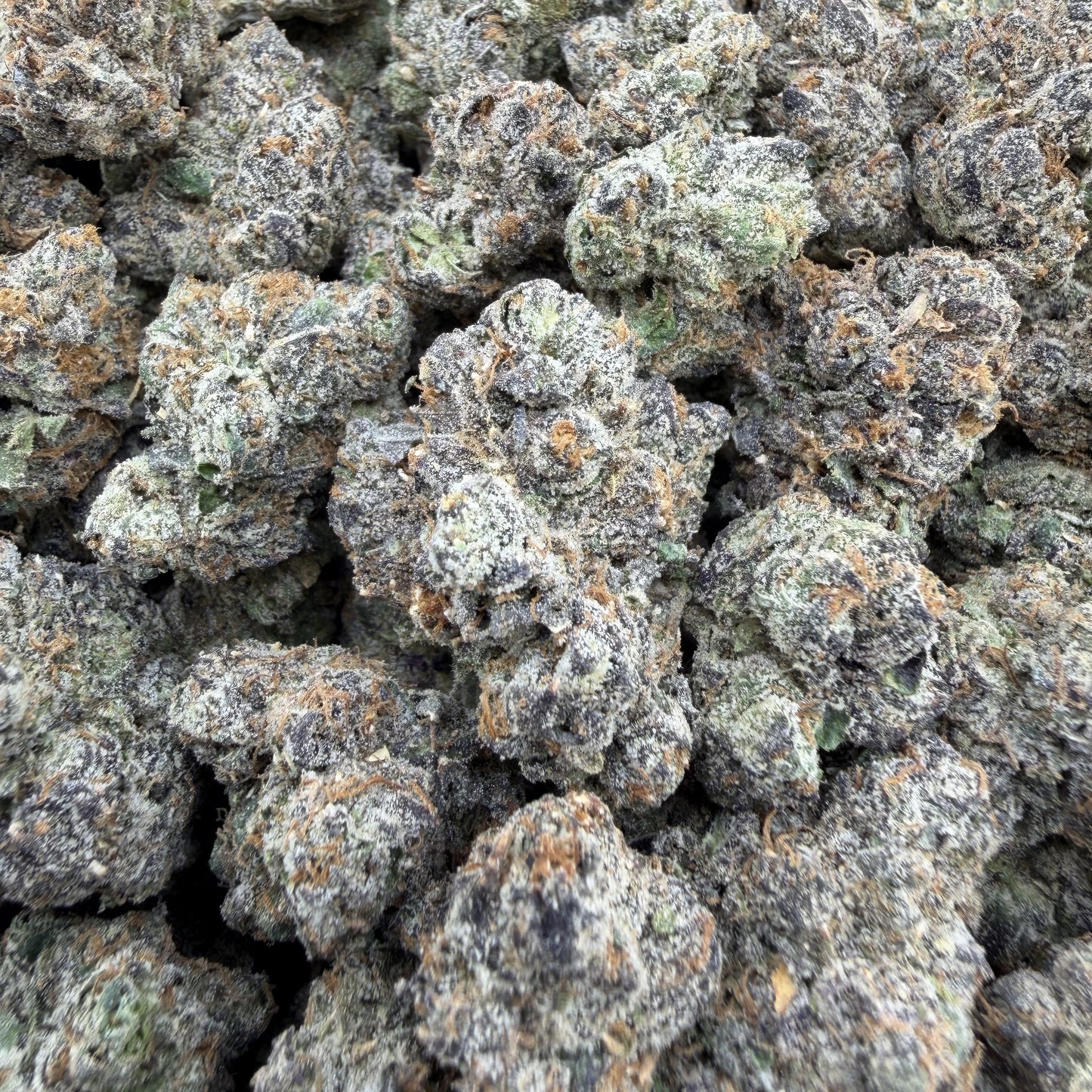 THC-A Flower Runtz Indica (Indoor)