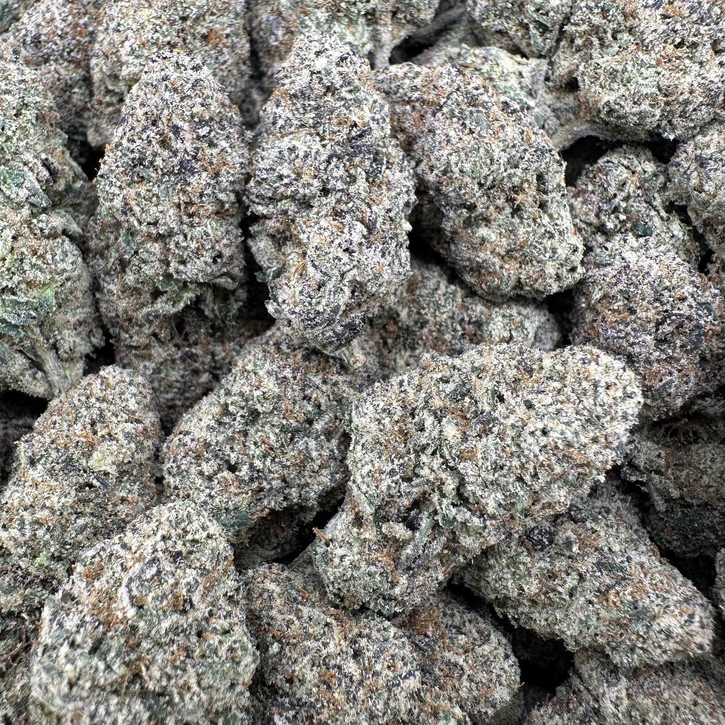 THC-A Flower Sunset Sherb Hybrid (Indoor)