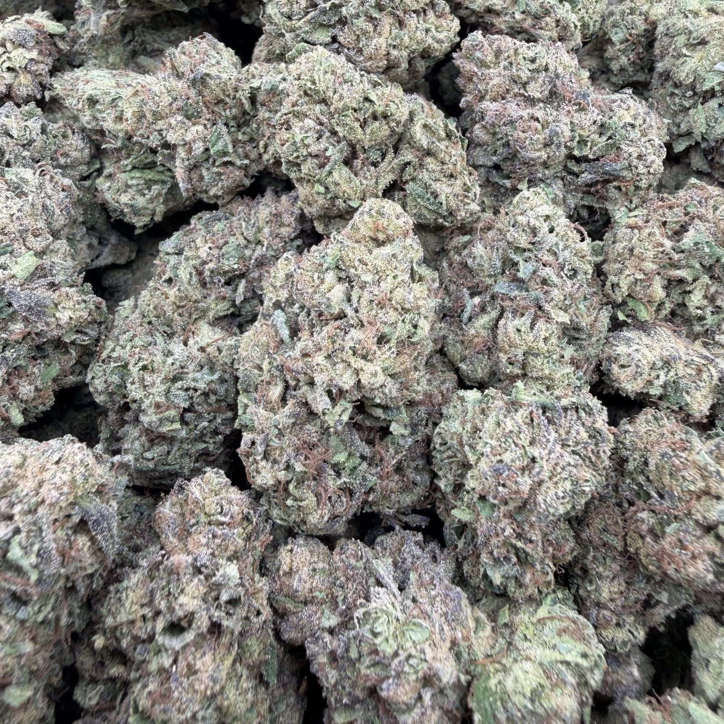 THC-A Flower Super Runtz Hybrid (Light Dep)