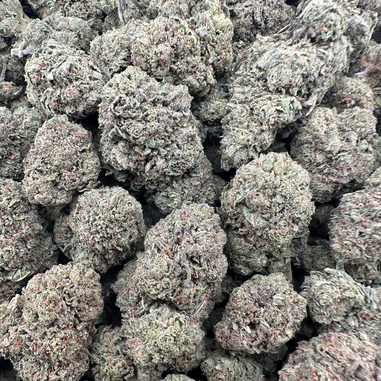 THC-A Flower Tropical Runtz Hybrid (Light Dep)