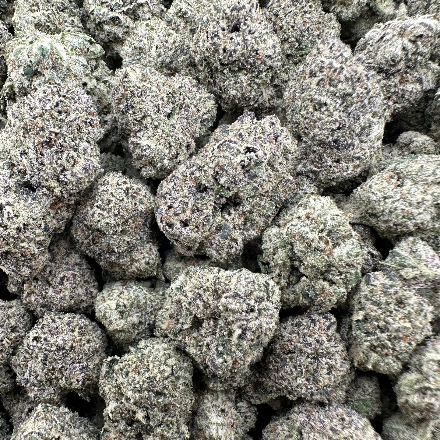 THC-A Flower Watermelon Sherbert Hybrid (Indoor)