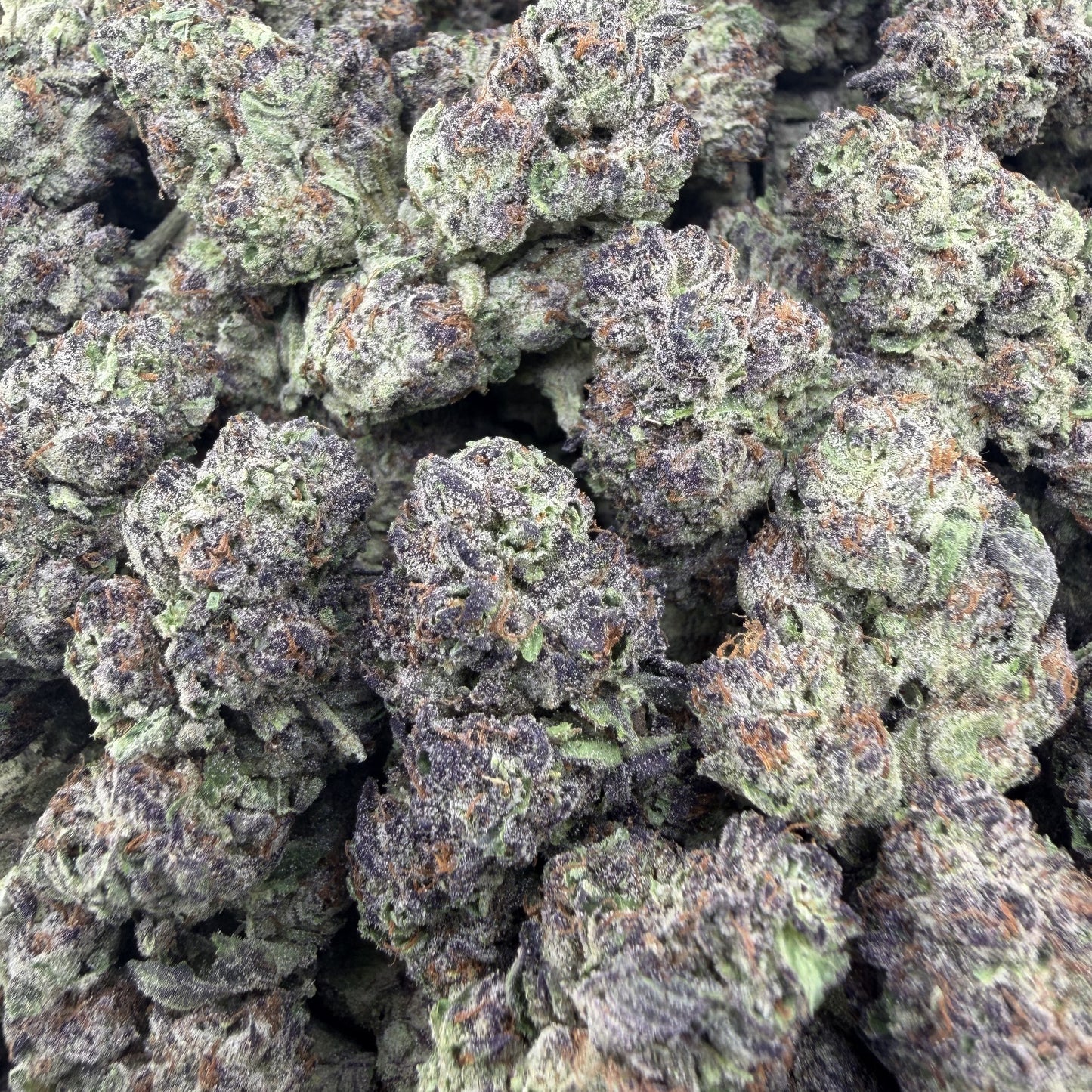 THC-A Flower Wedding Cake Hybrid (Light Dep)