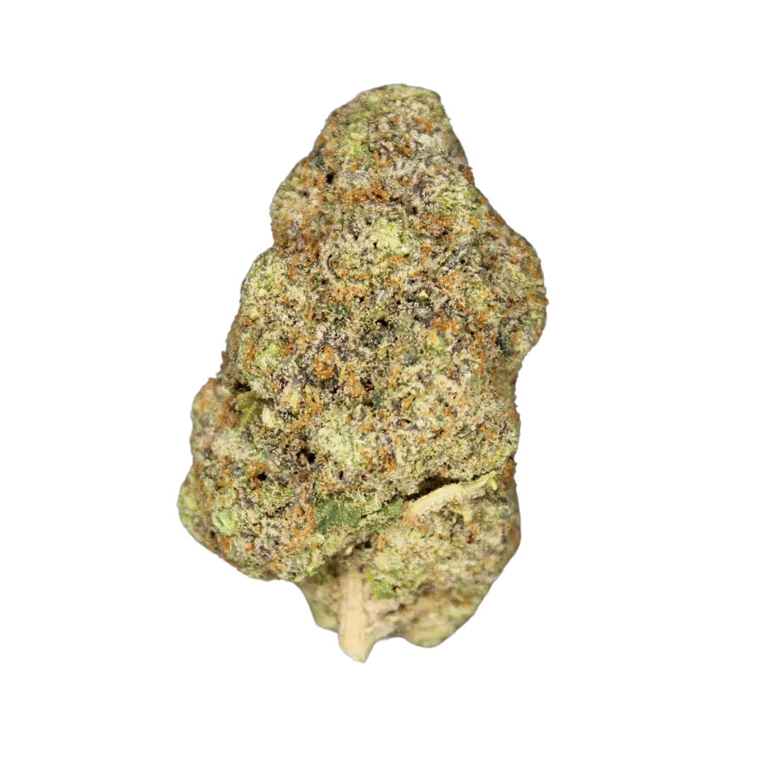 Not Ya Son's Weed THCA Flower 3.5g (SINGLE)