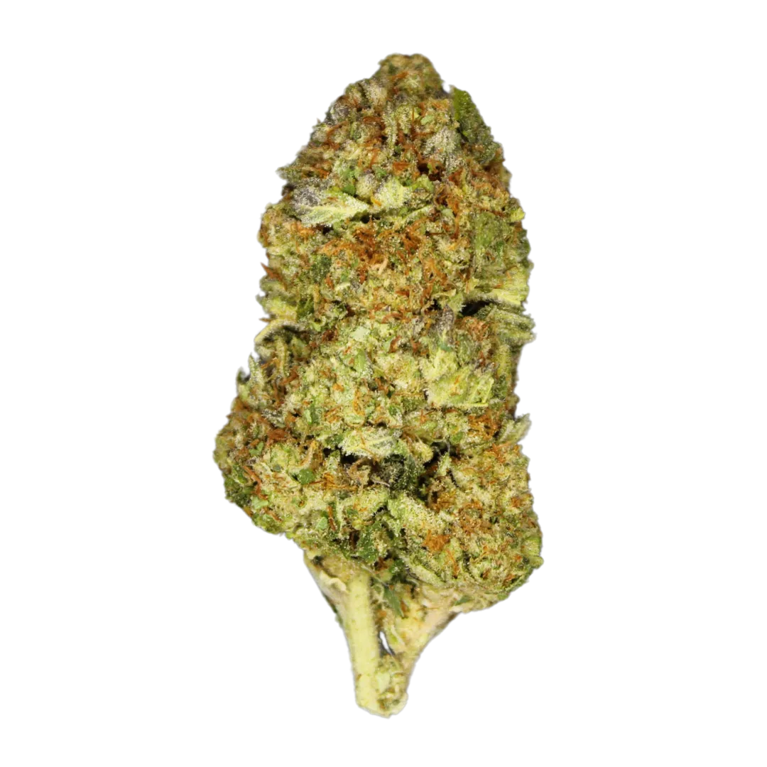 Not Ya Son's Weed THCA Flower 3.5g (SINGLE)