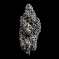 Topshelf NC THC-A Flower Black Sunday (SINGLE) [DROPSHIP]