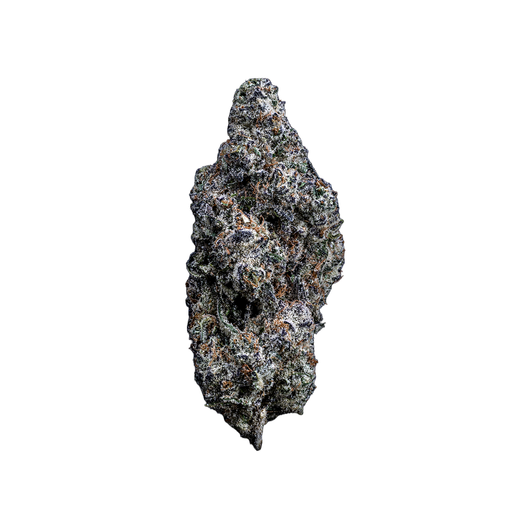Topshelf NC THC-A Flower Black Sunday (SINGLE) [DROPSHIP]