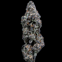 Topshelf NC THC-A Flower Black Sunday (SINGLE) [DROPSHIP]