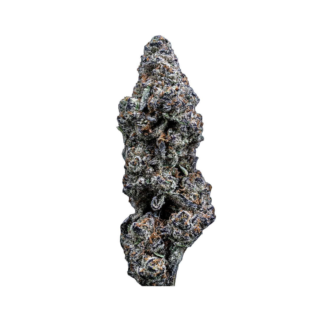 Topshelf NC THC-A Flower Black Sunday (SINGLE) [DROPSHIP]