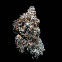 Topshelf NC THC-A Flower Blue Dream (SINGLE) [DROPSHIP]