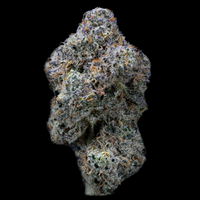 Topshelf NC THC-A Flower Colonel Crunch (SINGLE) [DROPSHIP]