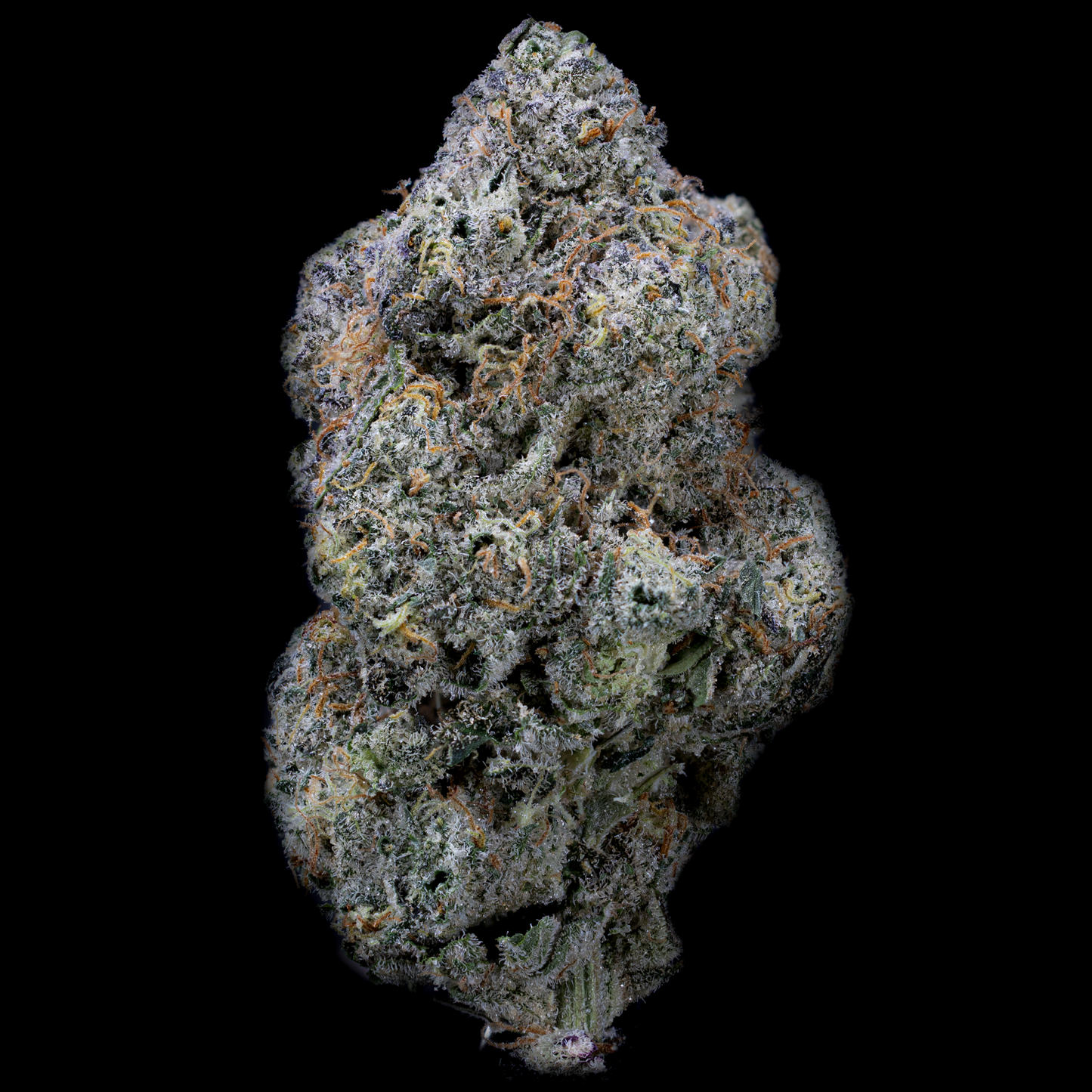 Topshelf NC THC-A Flower Colonel Crunch (SINGLE) [DROPSHIP]