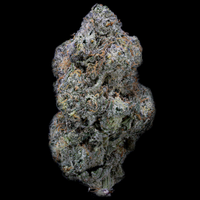 Topshelf NC THC-A Flower Colonel Crunch (SINGLE) [DROPSHIP]