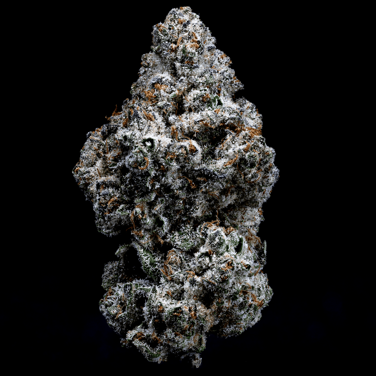 Topshelf NC THC-A Flower Destiny (SINGLE) [DROPSHIP]