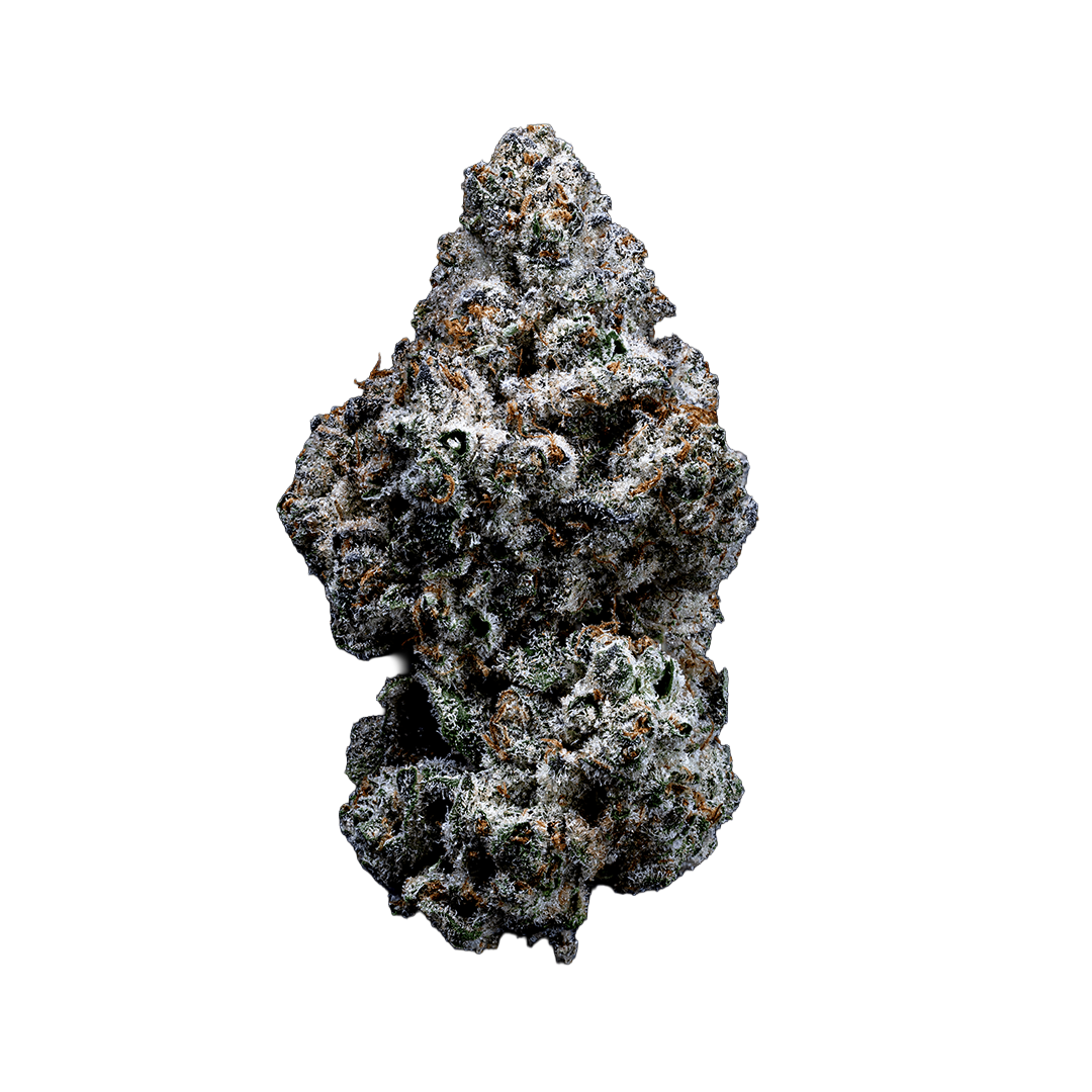 Topshelf NC THC-A Flower Destiny (SINGLE) [DROPSHIP]