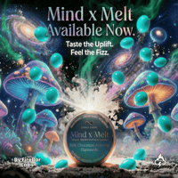 Mind x Melt Milk Chocolate Popping Diamonds 3G Mushroom + 250mg Kanna 25ct (12/pack) [DROPSHIP]