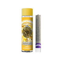 Munchies Jelly Holes Preroll THCA 2g (10/pack) [DROPSHIP]