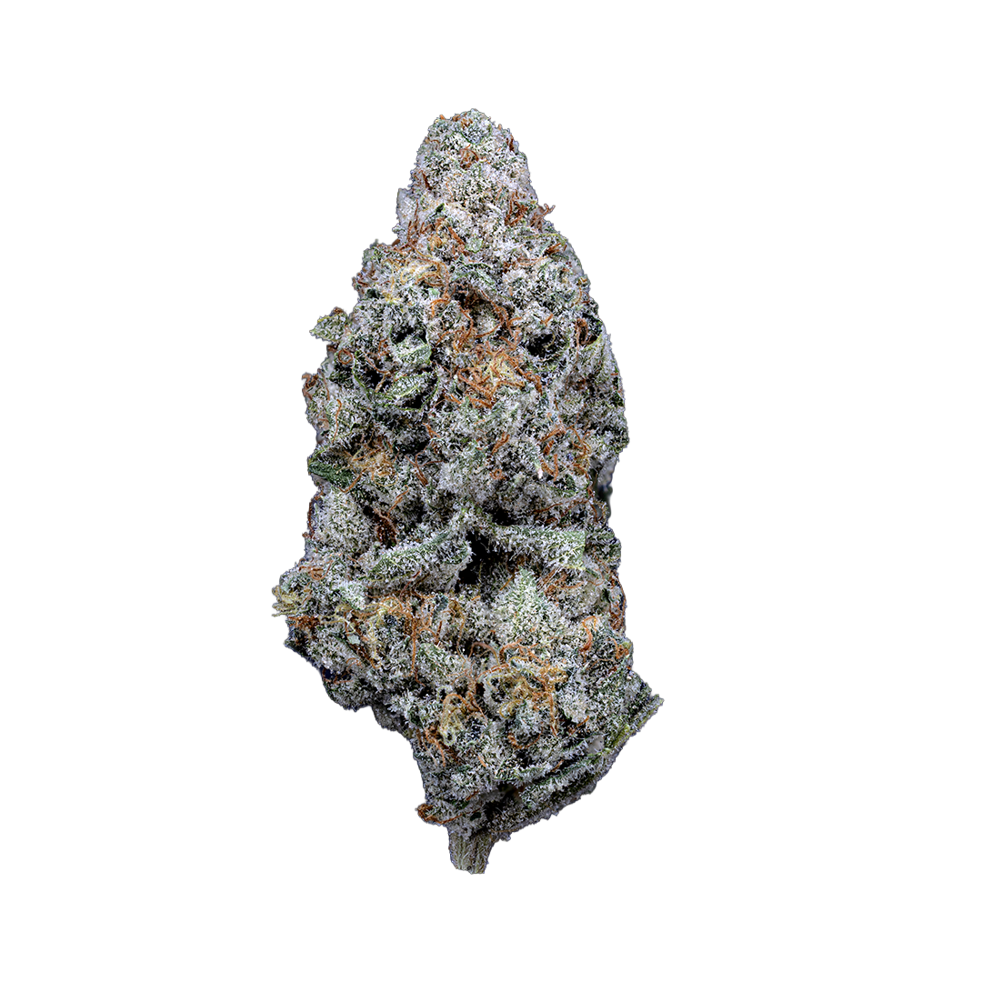 Topshelf NC THC-A Flower Kimbo Kush (SINGLE) [DROPSHIP]