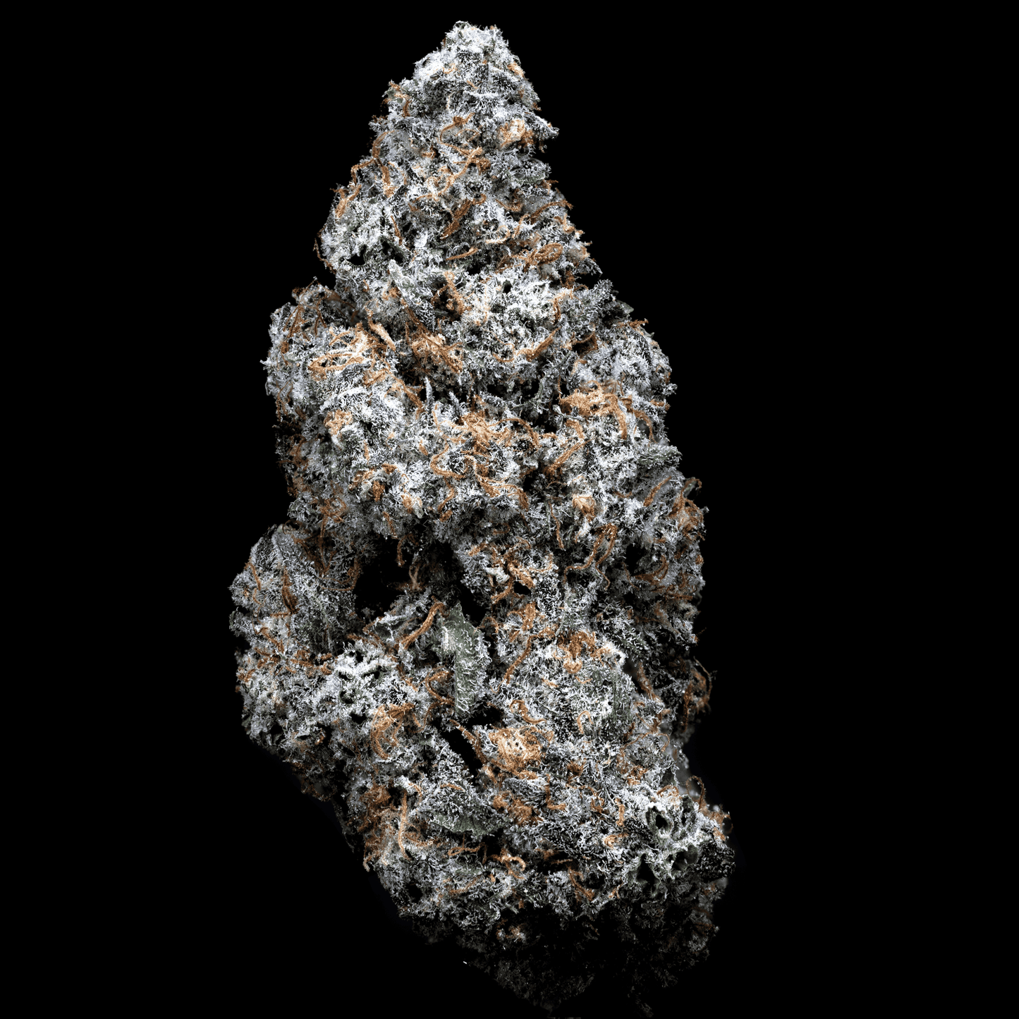 Topshelf NC THC-A Flower Lucky 13 (SINGLE) [DROPSHIP]