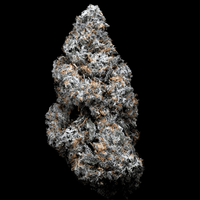 Topshelf NC THC-A Flower Lucky 13 (SINGLE) [DROPSHIP]