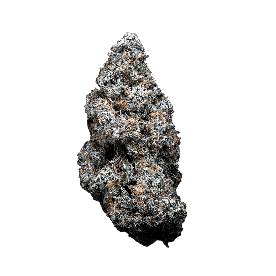 Topshelf NC THC-A Flower Lucky 13 (SINGLE) [DROPSHIP]