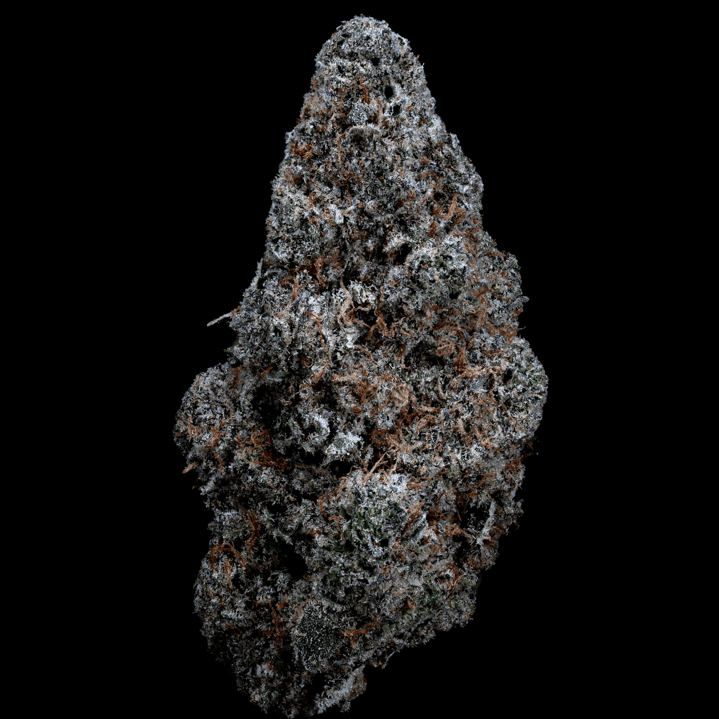 Topshelf NC THC-A Flower Melt Monster (SINGLE) [DROPSHIP]