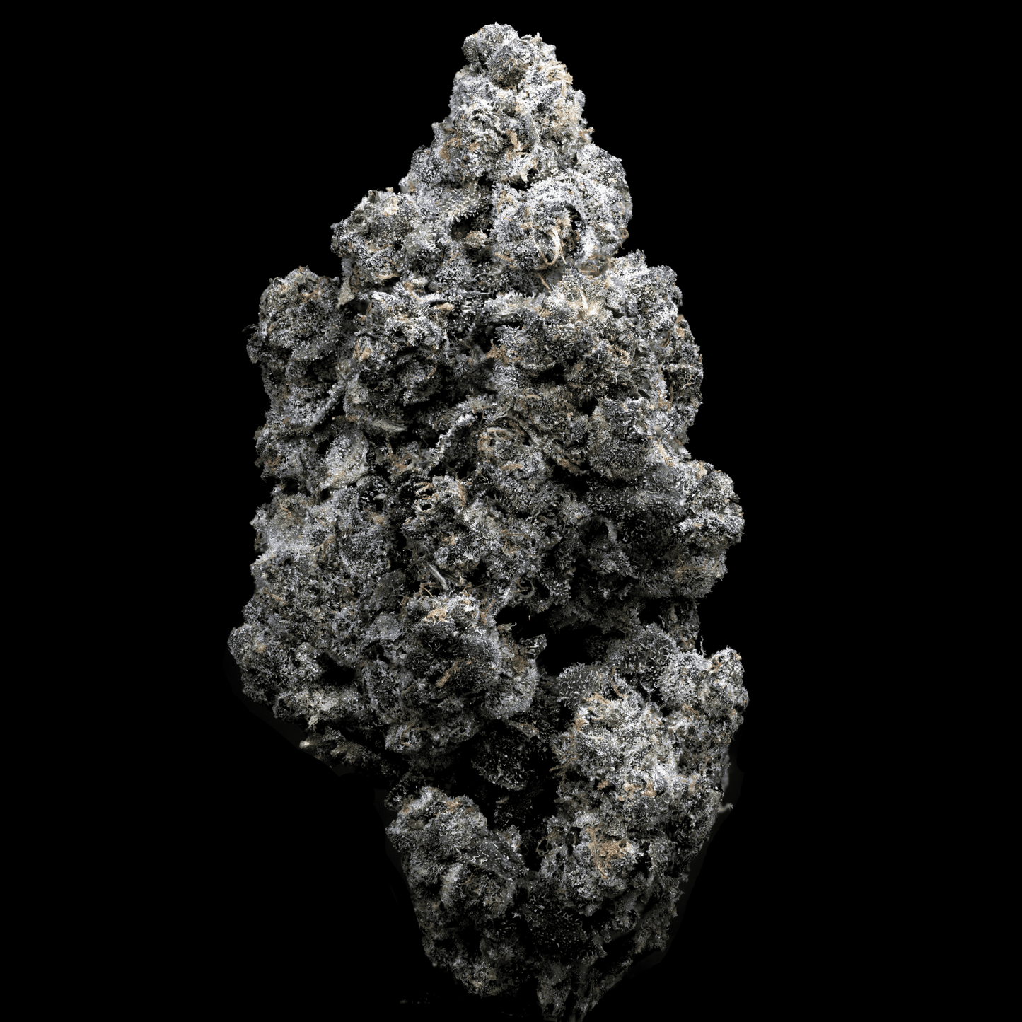 Topshelf NC THC-A Flower Planet Sherb (SINGLE) [DROPSHIP]