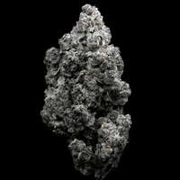 Topshelf NC THC-A Flower Planet Sherb (SINGLE) [DROPSHIP]
