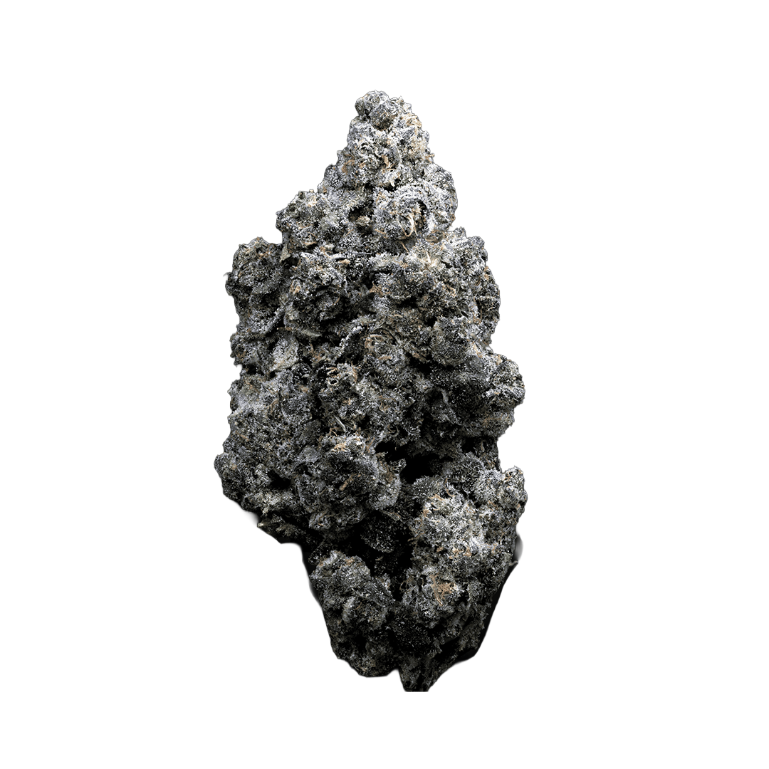 Topshelf NC THC-A Flower Planet Sherb (SINGLE) [DROPSHIP]