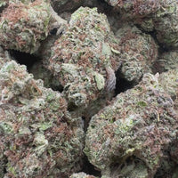 THC-A Flower White Gusherz Sativa (Light Dep)