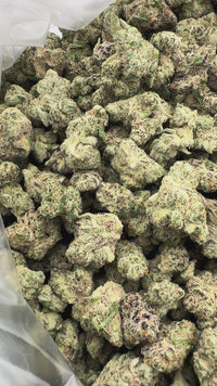 Purple Summit Farms THC-A Indoor Flower Strawberry Lobster Indica (SINGLE) [DROPSHIP]