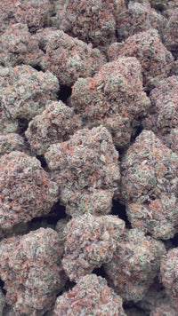 THC-A Flower Apple Fritter Hybrid (Indoor)