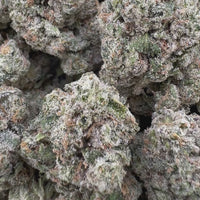 THC-A Flower Milk and Cookies Hybrid (Indoor)