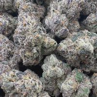 THC-A Flower Rainbow Gelato Hybrid (Indoor)