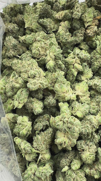 Purple Summit Farms THC-A Indoor Flower GG4 Hybrid (SINGLE) [DROPSHIP]