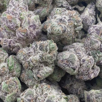 THC-A Flower Apple Fritter Hybrid (Indoor)