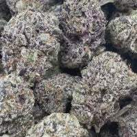 THC-A Flower Biscotti Hybrid (Indoor)