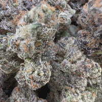 THC-A Flower White Cherry Gelato Hybrid (Indoor)