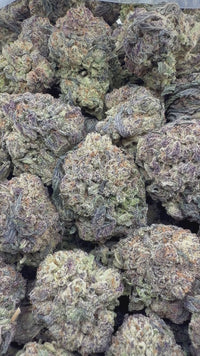 THC-A Flower Cookie Monster Hybrid (Light Dep)