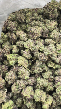 Purple Summit Farms THC-A Indoor Flower Smalls Bubba Guys Indica (SINGLE) [DROPSHIP]