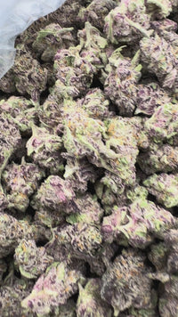 Purple Summit Farms THC-A Indoor Flower Pink Cookies Indica (SINGLE) [DROPSHIP]