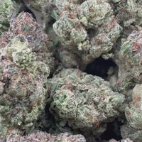 THC-A Flower Cookie Monster Hybrid (Light Dep)