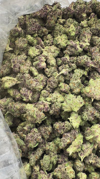 Purple Summit Farms THC-A Indoor Flower Smalls Pink Ladys Hybrid (SINGLE) [DROPSHIP]