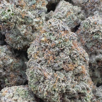 THC-A Flower London Pound Cake Hybrid (Indoor)