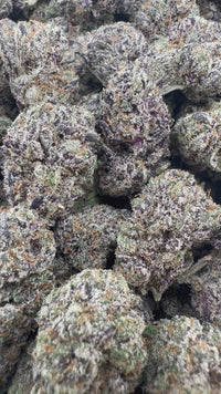 THC-A Flower Biscotti Hybrid (Indoor)