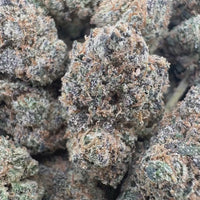 THC-A Flower Gushlato Hybrid (Indoor)