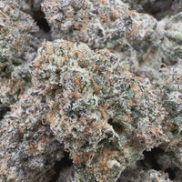 THC-A Flower Strawberry Mochi Sativa (Indoor)