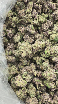 Purple Summit Farms THC-A Indoor Flower Smalls LA Pop Indica (SINGLE) [DROPSHIP]