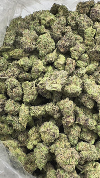 Purple Summit Farms THC-A Indoor Flower Smalls Samoa Cookies Hybrid (SINGLE) [DROPSHIP]